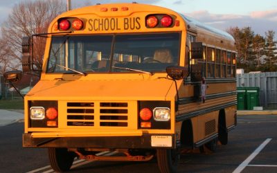 Student Group Tours That Bring Learning to Life